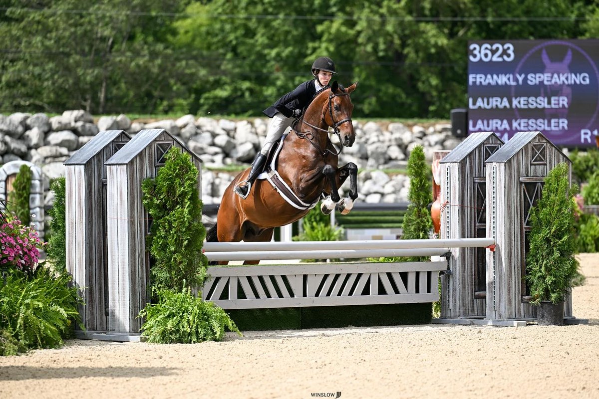 Laura Kessler riding Frankly Speaking over a hunter fence